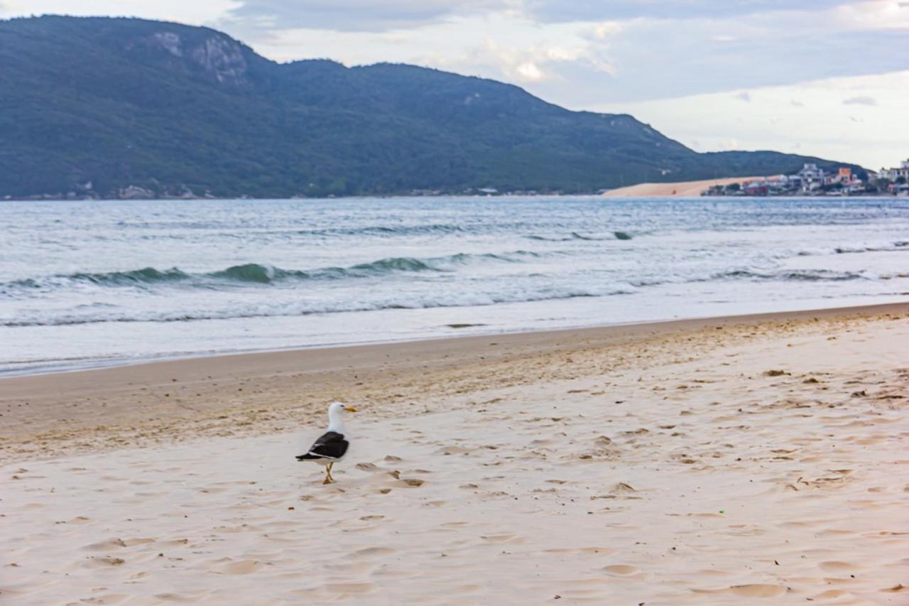 Cobertura Com Vista Mar Para 6 Hospedes, 150 Metros Da Praia Dos Ingleses Ing17 Florianópolis Extérieur photo